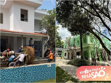 Cận cảnh gần chục người kéo cây cao 9m biểu tượng tài lộc về trồng tại biệt thự 2.000m2 của Đỗ Mạnh Cường