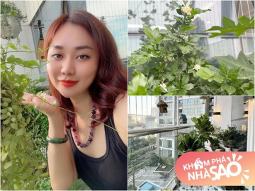 Vợ Đại úy của NSND Tự Long khoe khu vườn trên cao ngày mưa bão vẫn "tươi xanh, thơm ngát như chủ nhà"