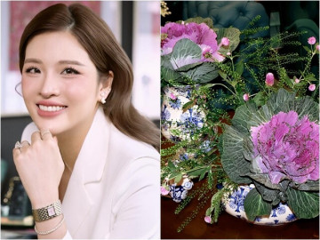 Hoa hậu kiêm BTV xinh đẹp cắm hoa bắp cải rực rỡ cả góc nhà không ngờ khiến nhiều người trầm trồ