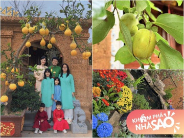 Biệt phủ của danh hài Vượng Râu cây trái sai lúc lỉu làm bao người thích thú, dự đoán thu tới 2 tạ hồng