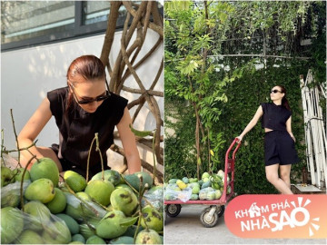 Mỹ Tâm thu hoạch nhiều xoài ở nhà vườn, cuộc sống hưởng thụ bao người mơ ước tại cơ ngơi hàng nghìn m2