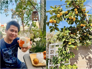 Loại cây trấn trạch hút lộc lại còn ra quả ngon ngọt được nhiều sao Việt trồng từ Việt Nam qua Mỹ