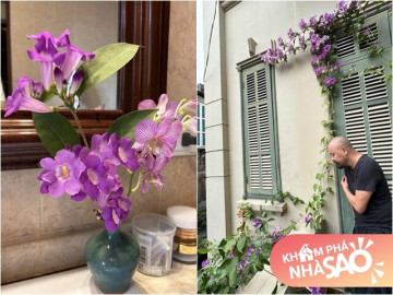 Nhà đẹp - Căn biệt thự đầy hoa tím mộng mơ của nam NSƯT đứng sau sự lung linh của Táo Quân nhiều năm qua
