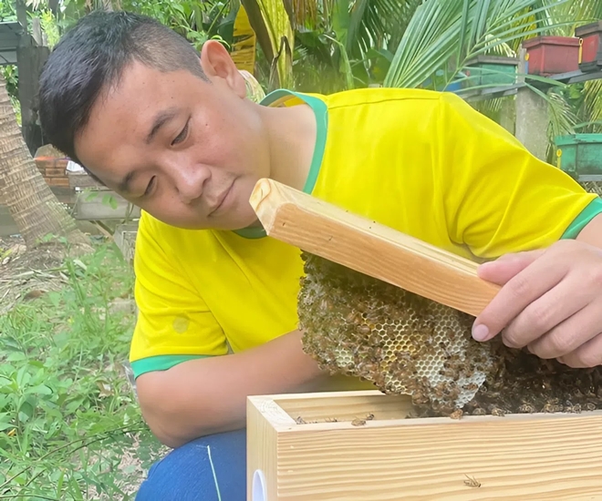 Anh Tùng quyết định khởi nghiệp bằng nghề nuôi ong tại quê nhà