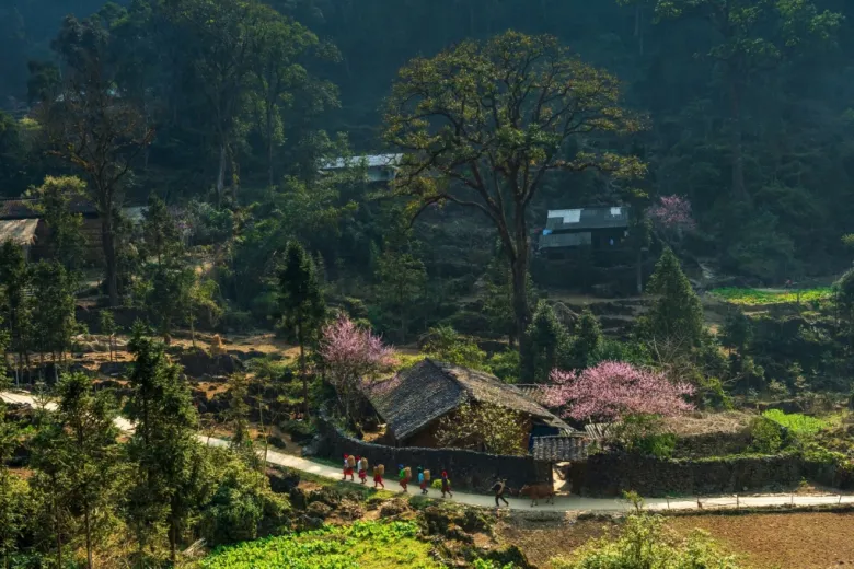 Có Gì Tại Điểm Trekking Đẹp Nhất Tuyên Quang Vừa Thắng Giải Du Lịch Thế Giới? Địa Hình Hiểm Trở, Thách Thức Dân Phượt Bức Tranh Vùng Cao Nhiều Màu Sắc