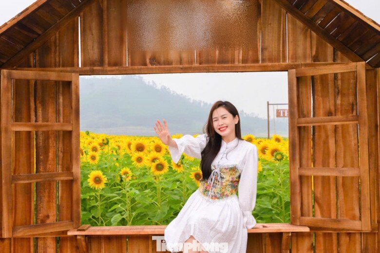 Bạn trẻ check-in amp;#34;biển hoa mặt trờiamp;#34; lớn nhất Việt Nam - 6