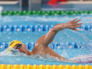 Tin tức - Kình ngư Huy Hoàng giành cú đúp HCV, bơi Việt Nam xếp hạng 4 châu Á