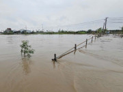 Tin tức - Huế ngập lụt chưa từng thấy từ đầu mùa mưa bão