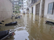 Tin tức - Xót xa cảnh xe máy bị nhấn chìm trong nước lũ ở Huế