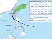 Tin tức - Vì sao bão số 14 có đường đi bất thường?