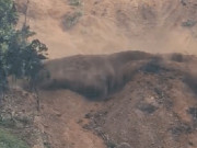 Tin tức - Sạt lở kinh hoàng ở vùng cao Đà Nẵng, 7 người mất liên lạc