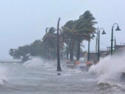 Tin tức - Tin tức 24h: Áp thấp nhiệt đới tiến gần Biển Đông, mạnh lên thành bão ngày 26/11