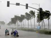 Tin tức - Tin tức 24h: Áp thấp nhiệt đới loanh quanh trên Biển Đông, Trung Bộ mưa lớn từ đêm nay