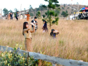 Lifestyle - Du khách đổ xô đi cắm trại, check-in ở đồi cỏ phủ màu "siêu thực"