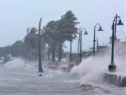 Tin tức - Tin tức 24h: Áp thấp nhiệt đới suy yếu, liệu có còn thêm bão, áp thấp nhiệt đới trong tháng 12 này?