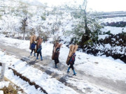 Tin tức - Cuối tháng 12 có khả năng xuất hiện băng giá, mưa tuyết vùng núi