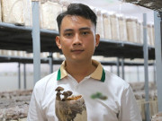 Tin tức - Gác 3 bằng đại học, chàng trai miền Tây về quê trồng nấm công nghệ cao