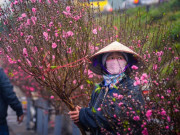 Tin tức - Ngày Đông Chí ấm khác thường có thể dự báo gì về thời tiết Tết Nguyên đán?