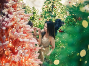 Lifestyle - Lạc bước giữa vườn thông phủ tuyết mùa Giáng sinh