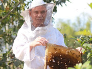 Tin tức - Nghị lực phi thường của người đàn ông mù loà nuôi ong giữa núi rừng Hà Tĩnh