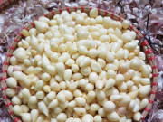 Lifestyle - Đặc sản dưới lòng đất được ví như "lộc trời" ở Sơn La, giá đắt đỏ vẫn hút khách