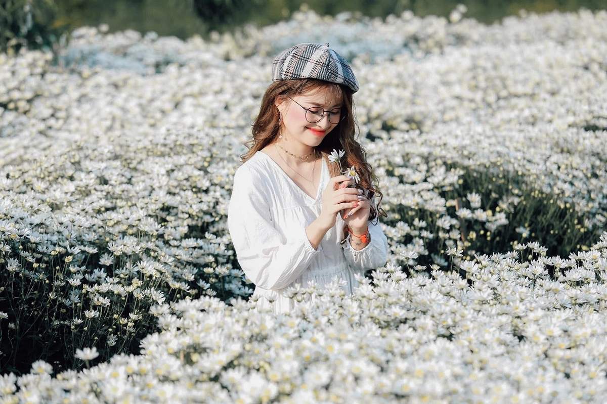 Bỏ Túi Bí Kíp “Ôm Trọn” Mùa Đông Hà Nội, Mách Bạn Những Địa Điểm Check-In Không Thể Bỏ Lỡ Trong Tháng 12 Đừng Quên Chụp Ảnh Với Cúc Họa Mi