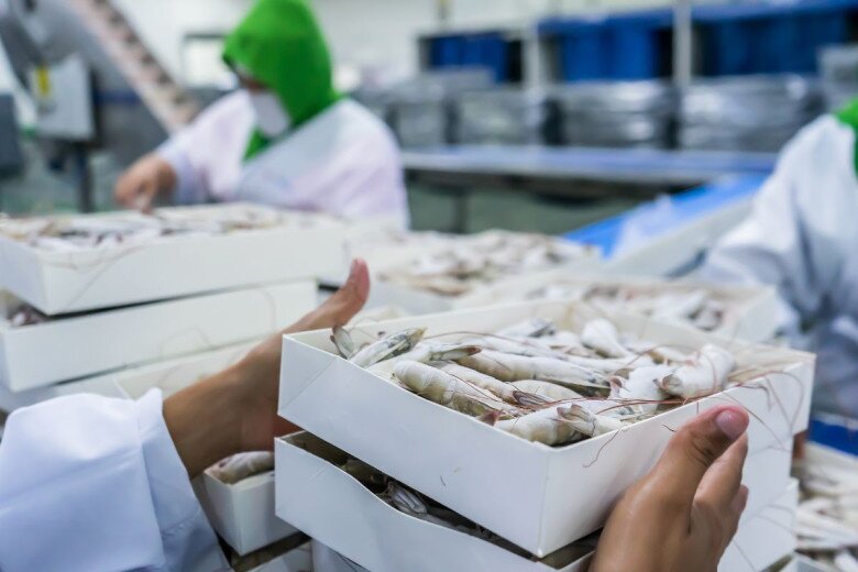 Ngành công nghệ chế biến thủy sản có mức lương ổn định 