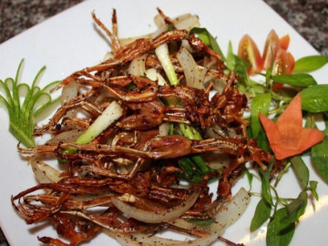 Những món đặc sản miền Tây nhất định phải thử, có món ăn độc lạ, nghe tên đã thấy thèm