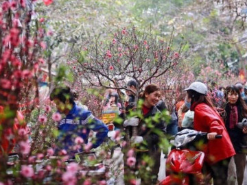 Người lao động được linh hoạt sắp xếp nghỉ Tết Âm lịch 2026