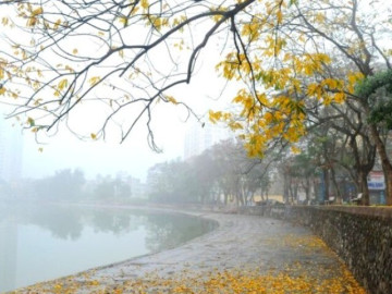 Tiết Sương Giáng và cách thu hút vận may cho những tháng cuối năm 2025 không phải ai cũng biết?