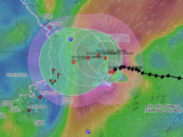 Bão Koto giảm còn cấp 11, hướng vào Gia Lai