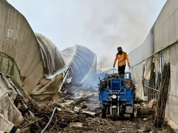 CLIP: Vựa rau lớn nhất Lâm Đồng xác xơ, nông dân mất tiền tỉ sau cơn "đại hồng thủy"