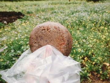 Ở Tuyên Quang có một loại bánh đặc sản làm từ loài hoa biểu tượng, xưa là món cứu đói cực kỳ bổ dưỡng