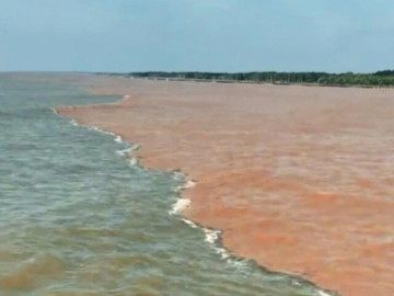 "Giải mã" hiện tượng nước có màu xanh và nâu đỏ ở ven biển Cà Mau
