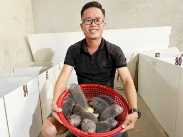 Kỹ sư cơ khí bỏ việc lương cao, về quê nuôi "con đặc sản" thu bộn tiền