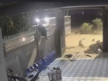 VIDEO: Tông vào xe tải, nam thanh niên đi trên xe máy bị hất văng lên hàng rào nhà ven đường