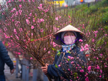 Ngày Đông Chí ấm khác thường có thể dự báo gì về thời tiết Tết Nguyên đán?