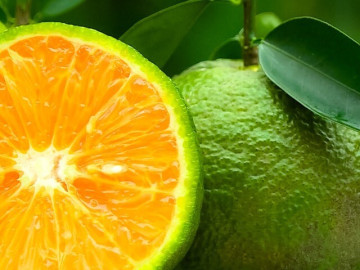 Sức khỏe - 5 loại trái cây giàu kali hỗ trợ kiểm soát và giảm huyết áp tự nhiên