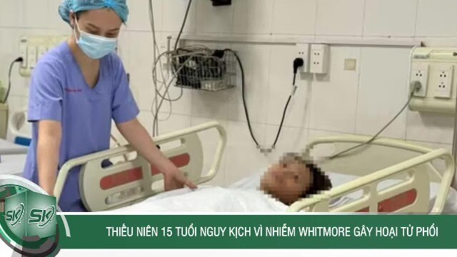Thiếu niên 15 tuổi nguy kịch vì nhiễm Whitmore gây hoại tử phổi