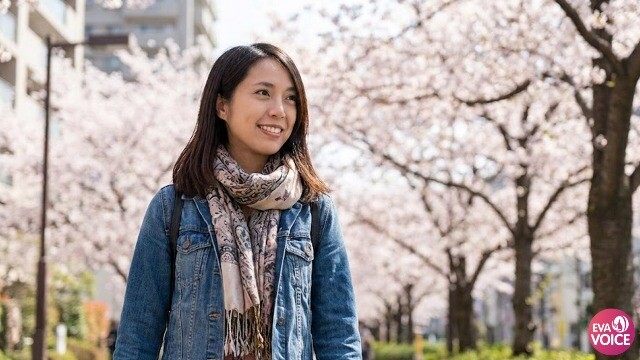 Khi nhân quả nhẹ nhàng quay về: Hành trình của người khôn ngoan trong một thế giới không bao giờ ngừng trả lời (P.1)