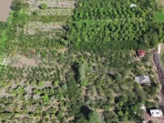 Clip Eva - VIDEO: Điểm nóng sạt lở đê bao cồn Thanh Long