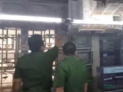 Clip Eva - Bắt quả tang cơ sở gom hàng chục chim hoang dã quý hiếm để bán trái phép