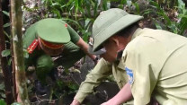Gỡ bỏ các bẫy thú trái phép, bảo vệ hệ sinh thái rừng