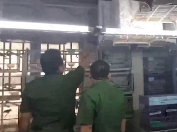 Bắt quả tang cơ sở gom hàng chục chim hoang dã quý hiếm để bán trái phép