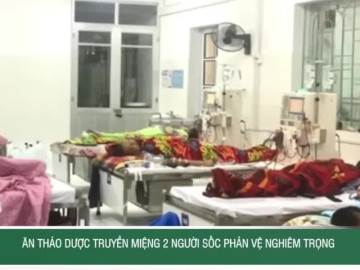 Ăn thảo dược truyền miệng, 2 người sốc phản vệ nghiêm trọng