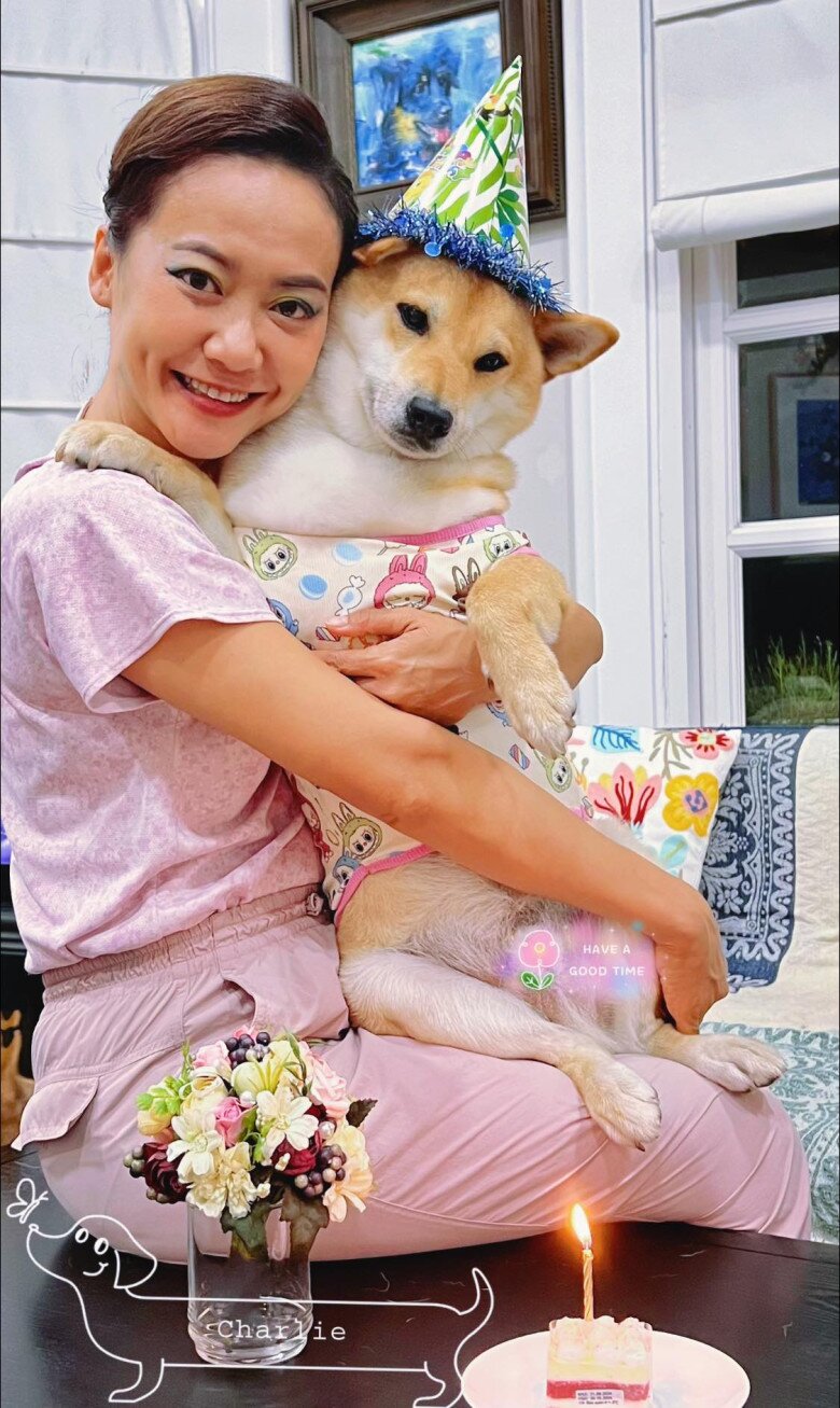 Hồng Ánh tìm hiểu kiến thức, tiêm phòng đầy đủ khi chăm sóc chó mèo.