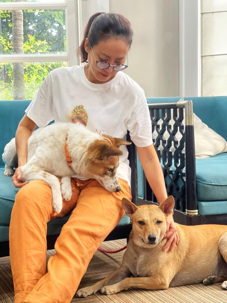 Nữ diễn viên có nhiều vết sẹo do chó cắn, mèo cào.