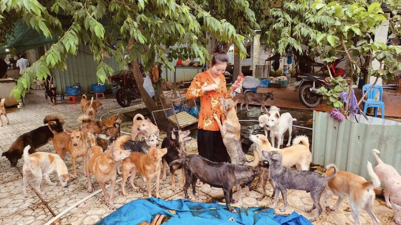 Nữ diễn viên chi khoảng 100 triệu mỗi tháng để chăm sóc cho 400 con chó.