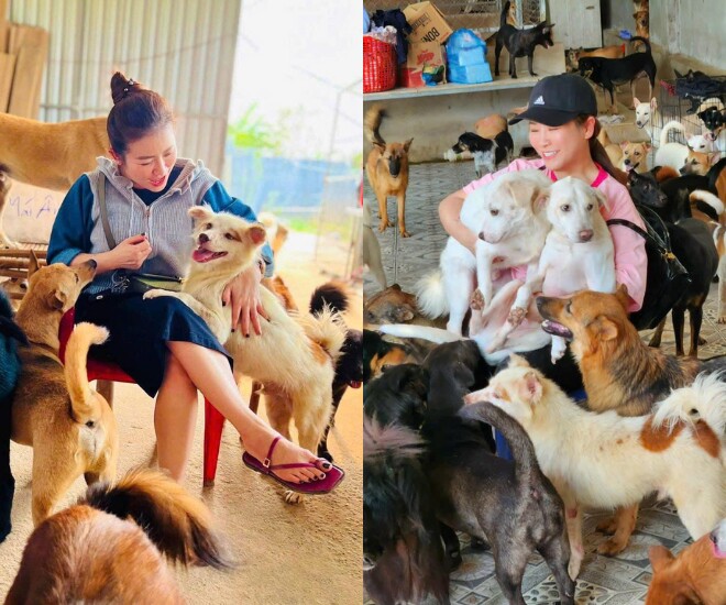 Kiều Linh xây khu trang trại rộng 1000m2 để nhận nuôi các chú chó hoang.