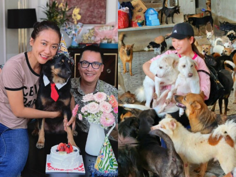 2 sao nữ Vbiz cưu mang chó mèo hoang: Người xây trang trại 1000m2 làm nơi ở, người mang đầy vết thương 